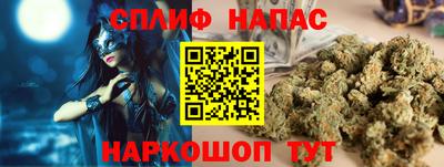 сатива Можга